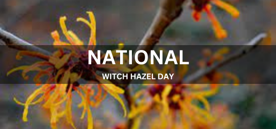 NATIONAL WITCH HAZEL DAY  [राष्ट्रीय विच हेज़ल दिवस]
